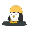 ️ Pingüinos gorra 2   MOV 22