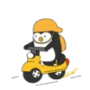 ️ Pingüinos gorra 2   MOV 23