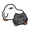 Cute duck 21