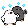 Cute duck 23