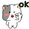 GrAy WhItE CaT 24