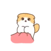 lovely cute 30