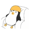 ️ Pingüinos gorra 2   MOV 24
