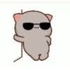 mochi cat animated 5