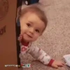 Bebés 1 movi 7