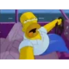 The Simpsons 5