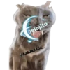 Animalitos Riéndose1 5