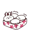 ♡  MuFfIn RaBbIt ♡ 6