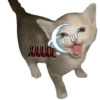 Animalitos Riéndose1 8
