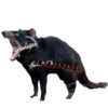 Animalitos Riéndose1 11