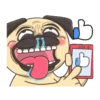 CRAZY PUG! 5