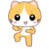 Yellow Cat .MOV 5