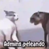 Los Admins...!!! 7