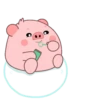 Pig .MOV 9