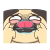 CRAZY PUG! 6