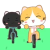 Yellow Cat .MOV 6