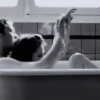 Pasion Black1 Mov 11