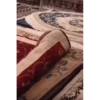 हैबुल्ला 10