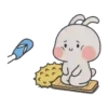 Amore   Bunny Mov 5