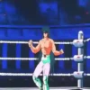 Shiryu de Dragón Mov 10