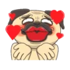 CRAZY PUG! 7
