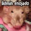 Los Admins...!!! 9