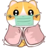 Yellow Cat .MOV 8