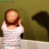 Bebés 1 movi 15