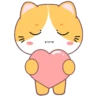 Yellow Cat .MOV 9