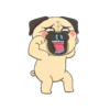 CRAZY PUG! 8