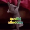 Gatos 1 Movi 16