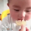 Bebés 1 movi 16