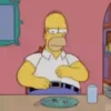 The Simpsons 19