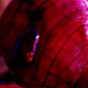 --Spiderman 15