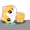 Yellow Cat .MOV 11