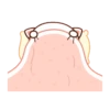 mochi cat animated 17
