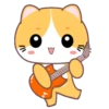 Yellow Cat .MOV 12