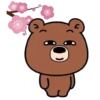 Bear & Rabbit Spring MOV. 11