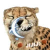 Animalitos Riéndose1 19