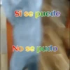 Gatos 1 Movi 18