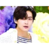 BTS 방탄소년단 15