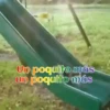 Gatos 1 Movi 19