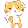Yellow Cat .MOV 13