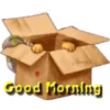 Buenos días 6 MOV 19