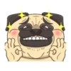 CRAZY PUG! 11