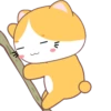 Yellow Cat .MOV 14