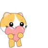 Yellow Cat .MOV 16