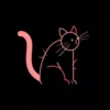 CaT︎  CaT︎ 16