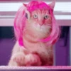 CaT︎  CaT︎ 17