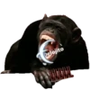 Animalitos Riéndose1 20